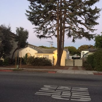 J & J Tree Service - Our much-improved (and safer) pine tree after! - Tree Services Near Me - Los Angeles, California J & J Tree Service - Our much-improved (and safer) pine tree after! - Tree Services Near Me - Los Angeles, California