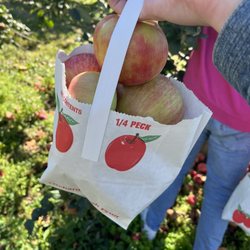 Wickham's Fruit Farm - 1/4 peck bag of honeycrisp