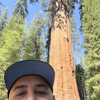 General Sherman Tree - Hiking Near Me - Sequoia National Park, California General Sherman Tree - Hiking Near Me - Sequoia National Park, California