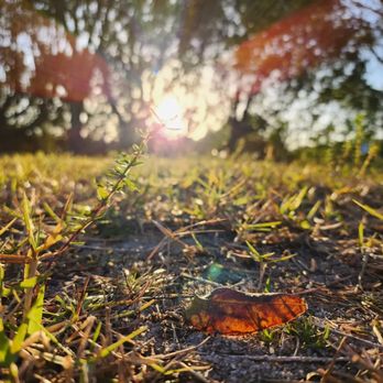 West Lake Park - Parks Near Me - Hollywood, Florida West Lake Park - Parks Near Me - Hollywood, Florida