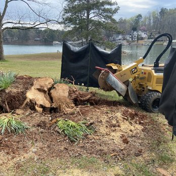 Stump Grinder Company - Tree Services Near Me - Alpharetta, Georgia Stump Grinder Company - Tree Services Near Me - Alpharetta, Georgia