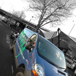 Westway Despatch LLP