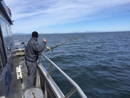 Kodiak Island Adventures by null