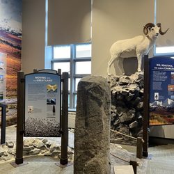 Alaska Public Lands Center - Inside displays