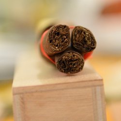 Vasco Cigars - Partagas Culebras