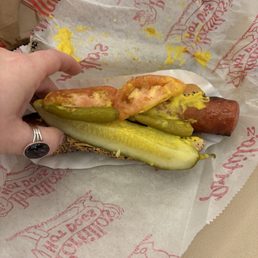 Polish Chicago Dog