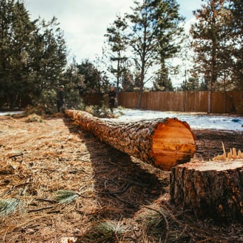 Arbor Tree Care - Tree Services Near Me - Bend, Oregon