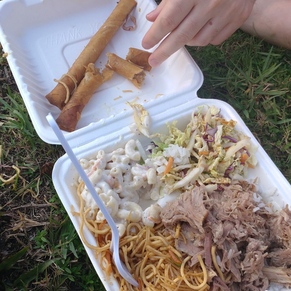 Hapa Li - Luau plate with an extra lumpia and Kalua Pork - Food Trucks Near Me