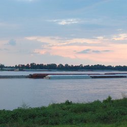 The Levee