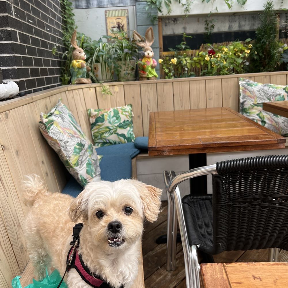 Bee Cafe - Cafes Near Me - Woodside, New York Bee Cafe - Cafes Near Me - Woodside, New York