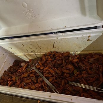 Three Legged Dog - Crawfish - Bars Near Me - New Orleans, Louisiana
