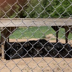 Wildlife Science Center