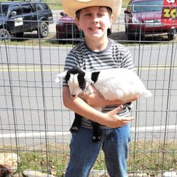 Tuckasegee Farm Animal Rescue & Petting Zoo
