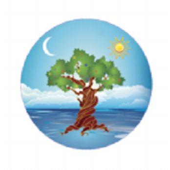 Mindful Bodywork - Mindful Bodywork - Massage Therapy Near Me - Berkeley, California Mindful Bodywork - Mindful Bodywork - Massage Therapy Near Me - Berkeley, California