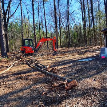 Oliver Outdoor Solutions - Under brush removal. - Landscaping Near Me Oliver Outdoor Solutions - Under brush removal. - Landscaping Near Me
