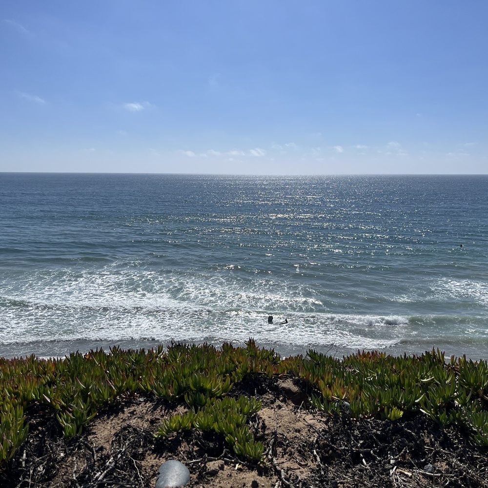 The Camp Store - View - Pizza Near Me - Carlsbad, California