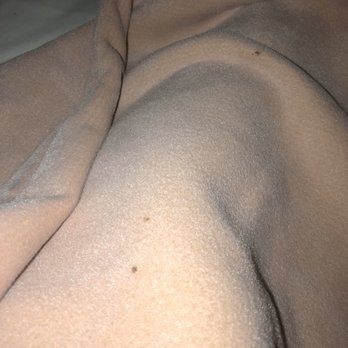 Guest Harbor Inn - More stains on the blanket. There were also stains on the actual bed sheets but not pictured. - Hotels Near Me - Los Angeles, California