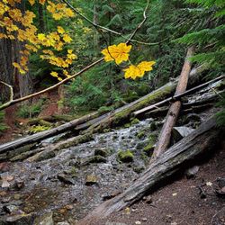 Proxy Falls - Upper proxy falls