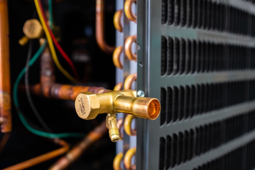 YELLOW BIRD SERVICES 21 Photos & 16 Reviews 351 N 17th St, Las