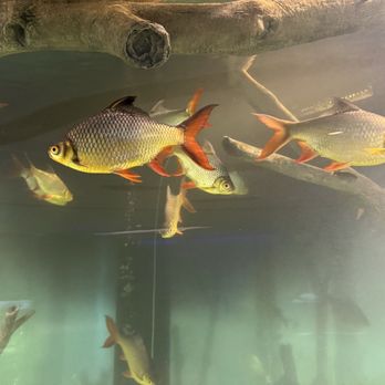 STATEN ISLAND ZOO - Updated January 2026 - 329 Photos & 98 Real Reviews