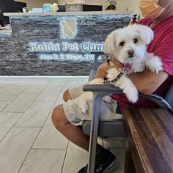 Kalihi Pet Clinic