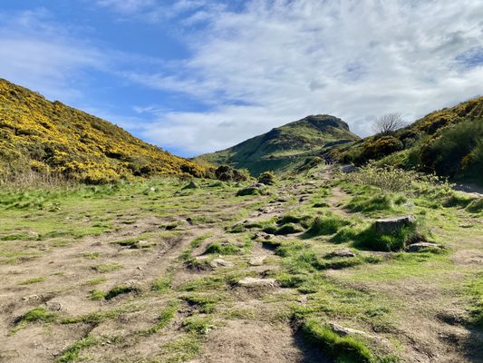 Arthur's Seat by null