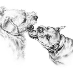 David Wayne Heise - Norman and Nolicky, Graphite on paper