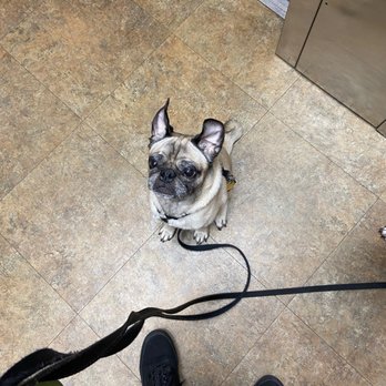 TENDER TOUCH SMALL ANIMAL HOSPITAL - Updated January 2025 - 13 