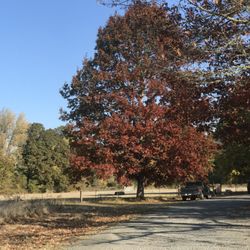 Dexter State Park