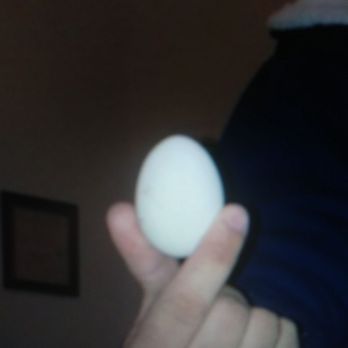 fee family egg's - a person holding an egg - Specialty Food Near Me - Mayer, Arizona fee family egg's - a person holding an egg - Specialty Food Near Me - Mayer, Arizona