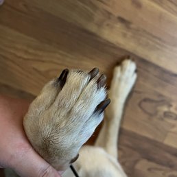Post "nailgrind"
