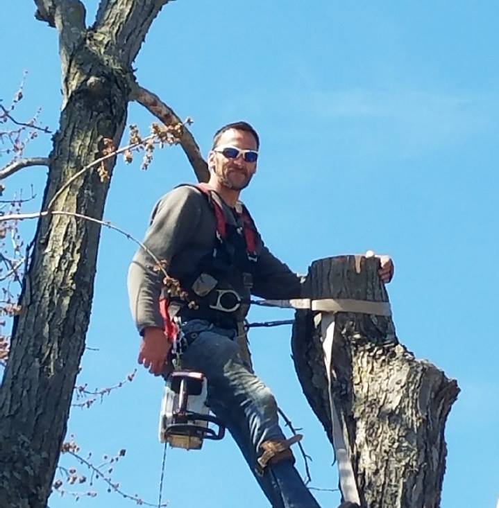 Cut Right Tree Service - tree service in Independence, MO