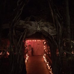 The Haunted Forest