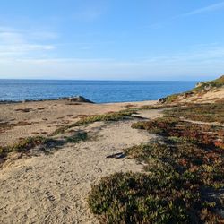 Eolian Dunes Preserve