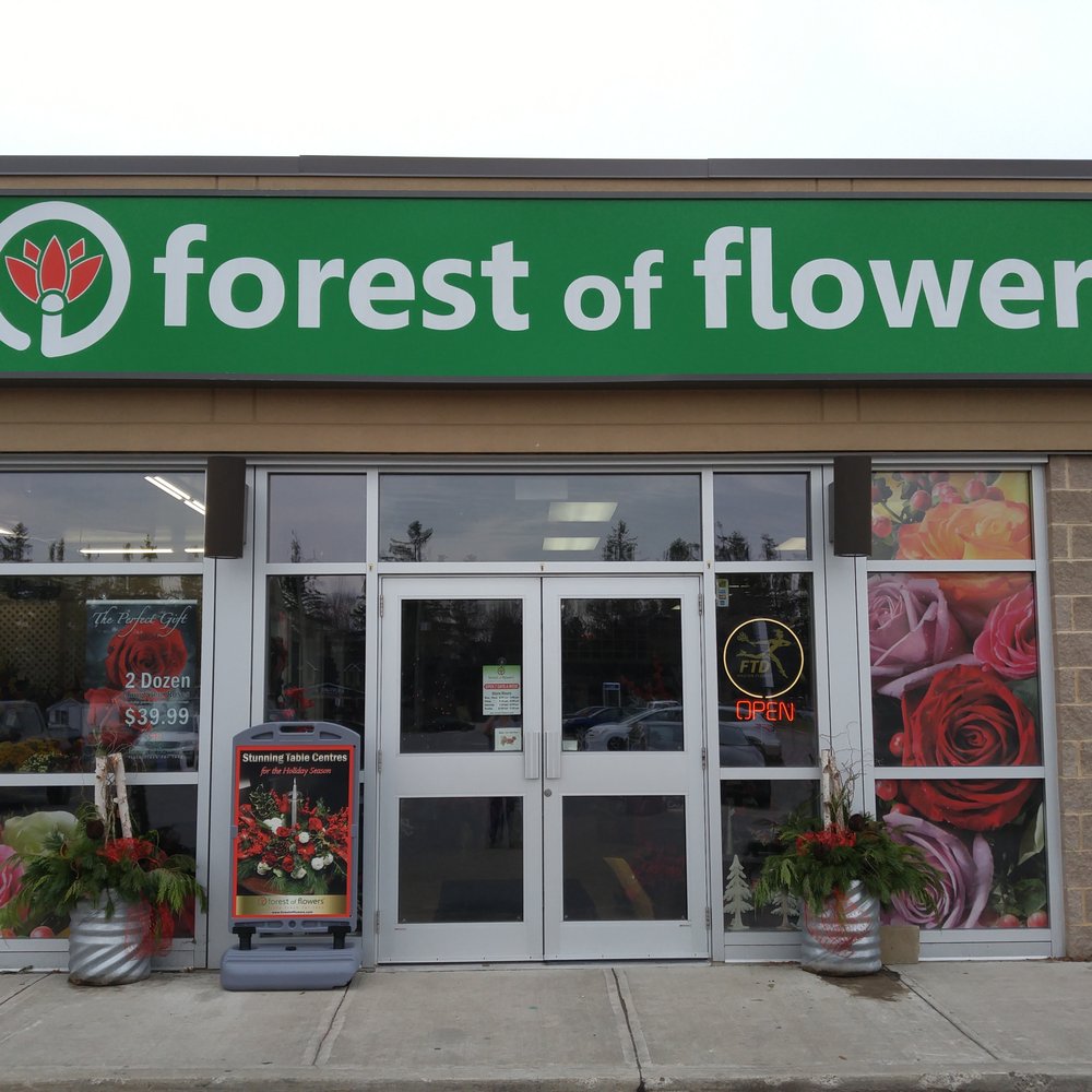 Zehrs Flower Delivery Kitchener Best Flower Site