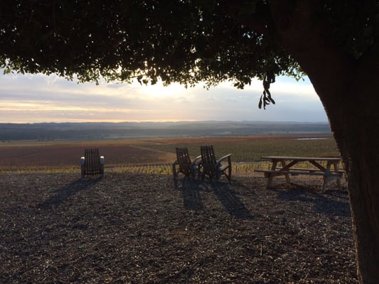 Cambria Winery by null
