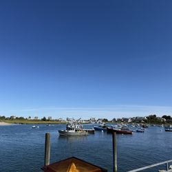 The view