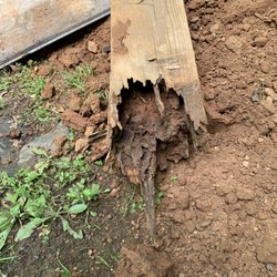 Tennessee legends - rotted post