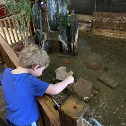 Feeding the fishies pennies! Feeding the fishies pennies!
