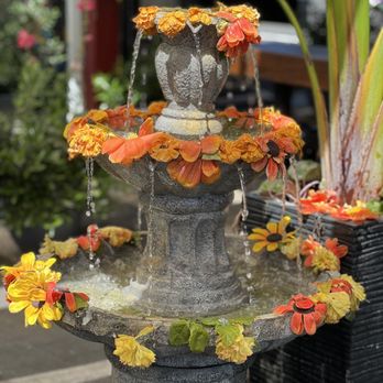 Patio Del Copal - On the patio - Mexican Near Me - San Jose, California