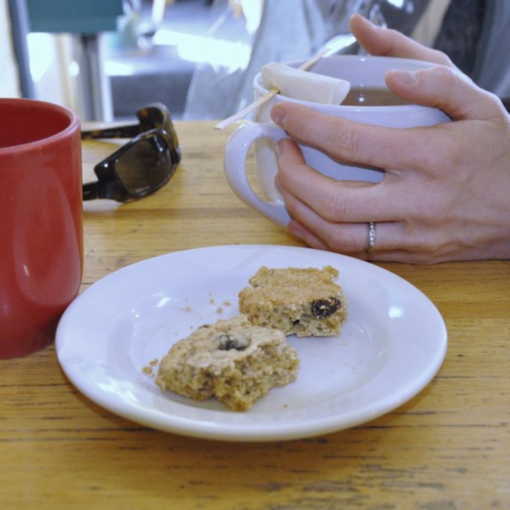 Speeder & Earl's Coffee - Tea, coffee and treats! - Coffee & Tea Near Me - Burlington, Vermont Speeder & Earl's Coffee - Tea, coffee and treats! - Coffee & Tea Near Me - Burlington, Vermont