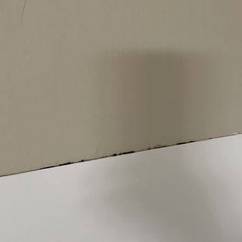 Shadow Cove - Bathroom mold at move-in - Apartments Near Me - Foster City, California