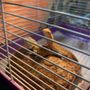 Central Valley Reptile Expo
