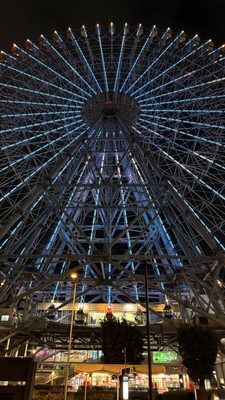 Tempozan Ferris Wheel by null
