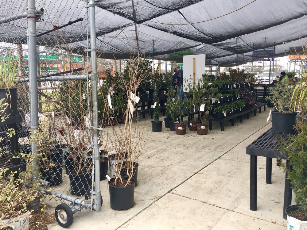 FARMERS SUPPLY Updated June 2024 21 Photos & 11 Reviews 2025 Oleander Dr, Wilmington