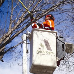 ArborCare - Photo