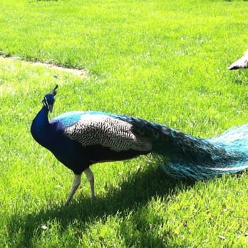 Grounds For Sculpture - Museums Near Me - Hamilton, New Jersey