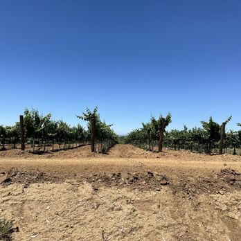 Grapeline Wine Tours - Vineyard - Wine Tours Near Me - Temecula, California