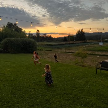 Minto Island Growers - two children playing in a field - CSA Near Me - Salem, Oregon Minto Island Growers - two children playing in a field - CSA Near Me - Salem, Oregon