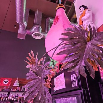 Mother Tongue Coffee - Aesthetic interior - Cafes Near Me - Oakland, California Mother Tongue Coffee - Aesthetic interior - Cafes Near Me - Oakland, California